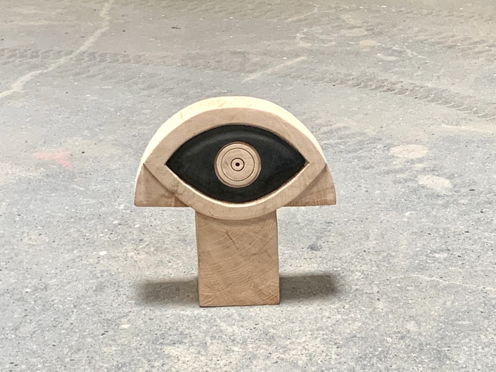 Auge 5